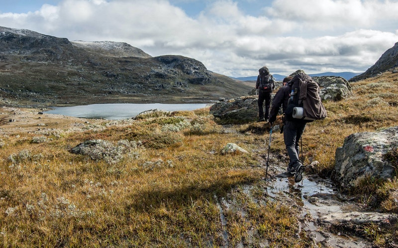 Randonnée-trekking-trail-marche-nordique-zoom-sur-les-activités-pédestres-les-plus-populaires